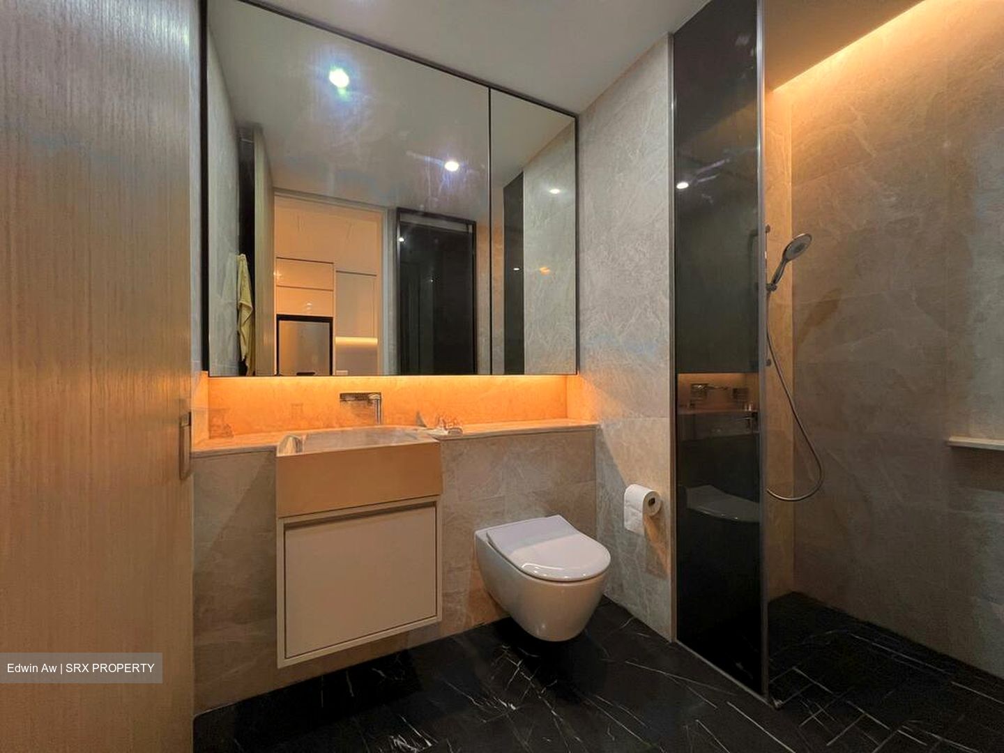 Amber Park (D15), Condominium #495802781